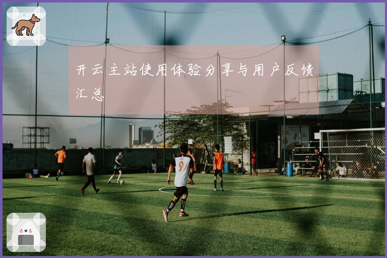 开云主站使用体验分享与用户反馈汇总