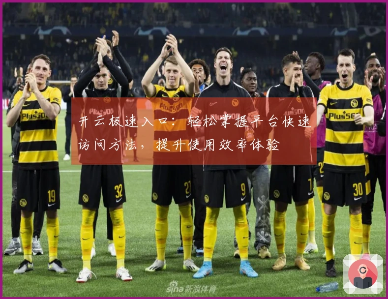 开云极速入口：轻松掌握平台快速访问方法，提升使用效率体验